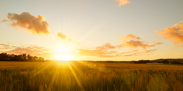 Déficit de Vitamina D en la población