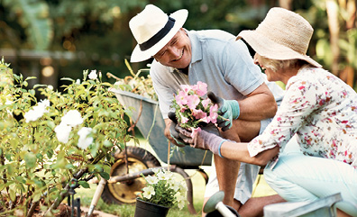 Imagina si la calidad de vida viniera en una pastilla