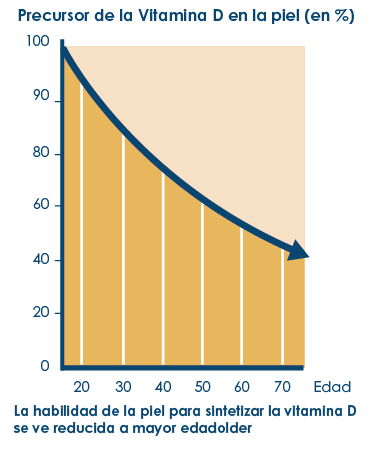 Precursor de la vitamina D en la piel